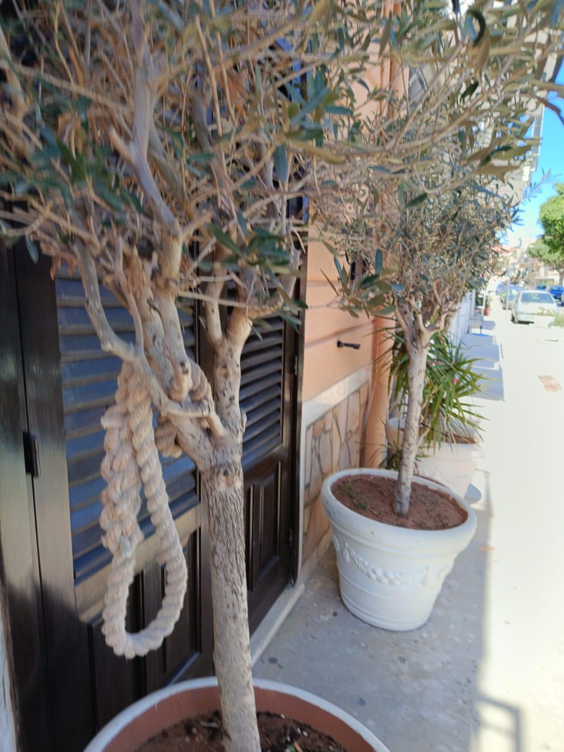 Da Cappellini Bed & Breakfast Isola delle Femmine Exterior photo